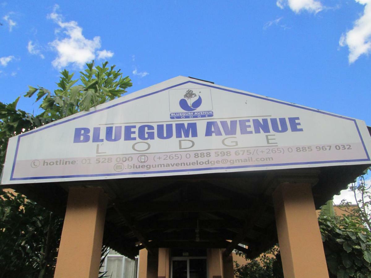 Bluegum Avenue Lodge ゾンバ エクステリア 写真